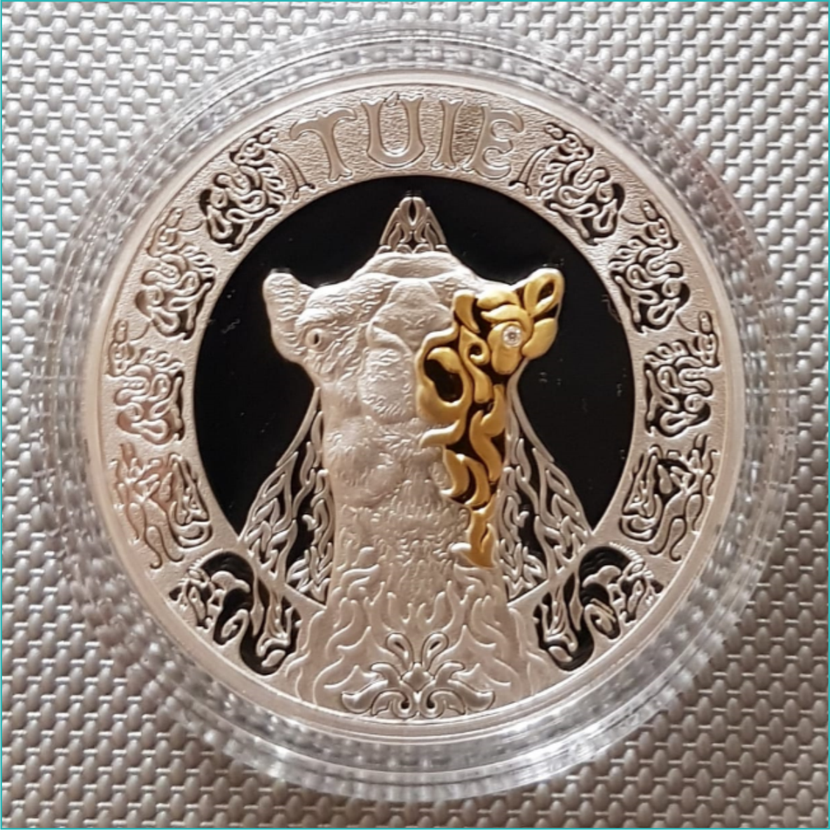 Монета "Верблюд - TUIE" 500 тенге (Серебро 925 с позолотой) - фото 3 - id-p115061897