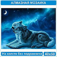 Алмазная мозаика "Волк и волчица под луной" (40х50 без подрамника)