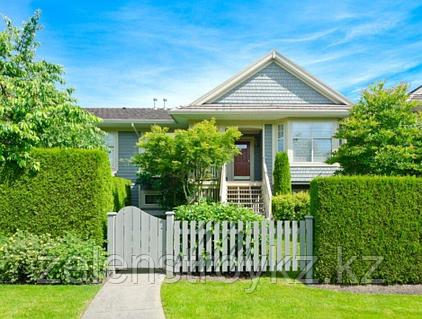 Менде үлкен дилдо бар