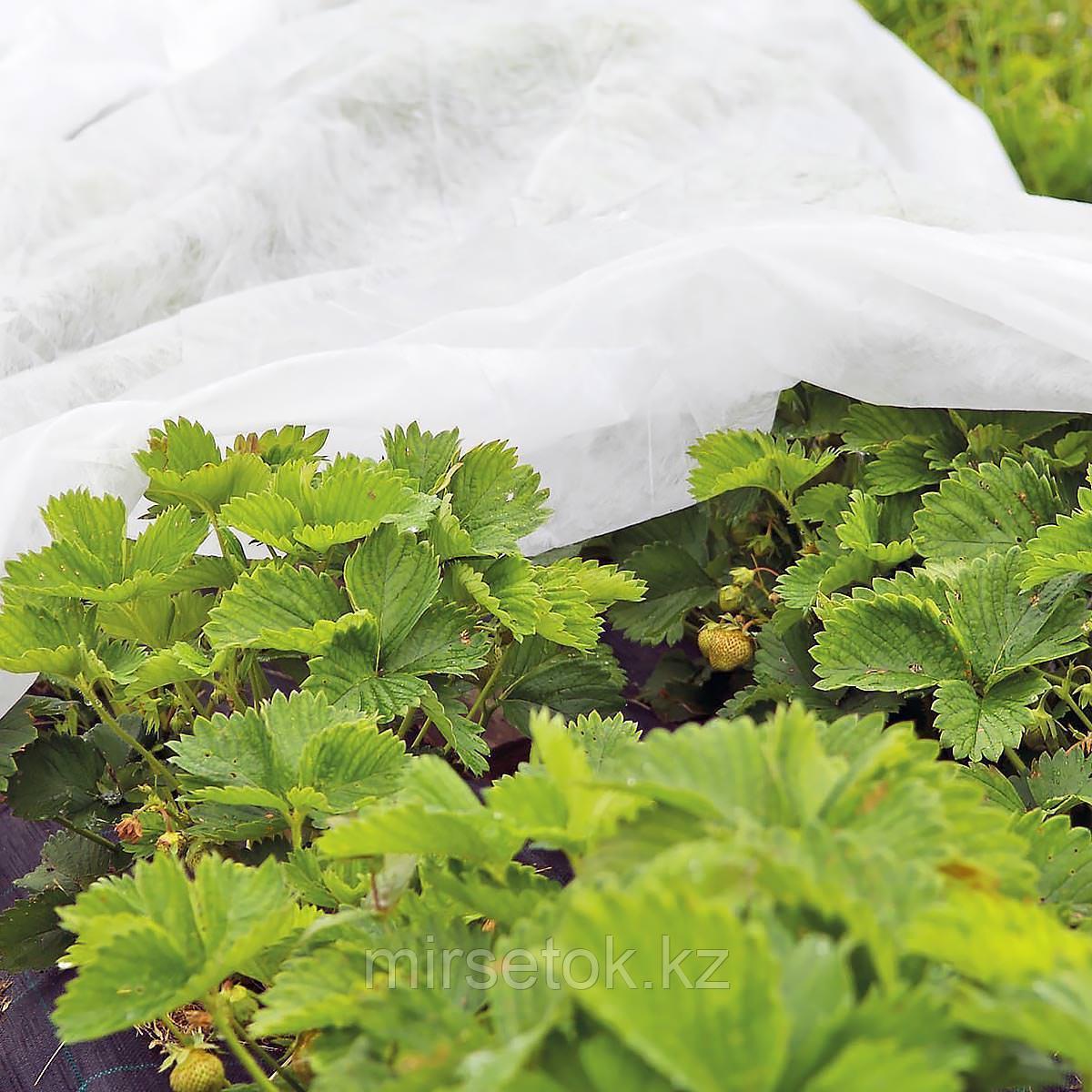 Агроволокно укрывной материал спандонд (Агроспан) 40 г/м2. Высокое качество. 1.6 х 500, фото 1