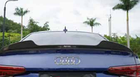 Карбоновый спойлер для Audi A4 (B9) 2019-2024+