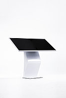 Сенсорный киоск 55″ для ТЦ, аэропортов, бизнес-центров, фото 8
