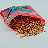 Зерновая приманка для уничтожения крыс и мышей "Зерноцин", 200 гр, фото 3