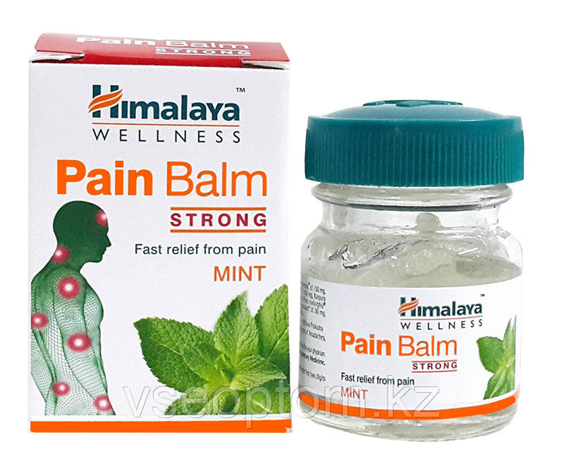 Бальзам Пейн Хималаи ( Pain Balm Himalaya ) обезбаливающий бальзам от ран, ушибов, порезов 10 г - фото 1 - id-p115192412