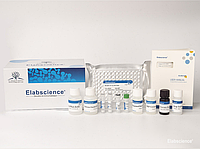 DHT(Dihydrotestosterone) ELISA набор