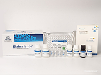 Mouse C3a(Complement Component 3a) ELISA набор