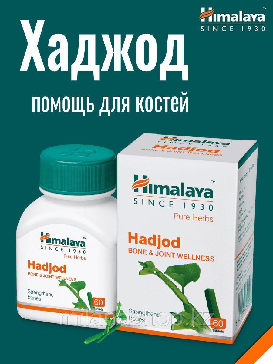 Хаджод Хималая ( Hadjod Himalaya ) для суставов и костей 60 таб, фото 1