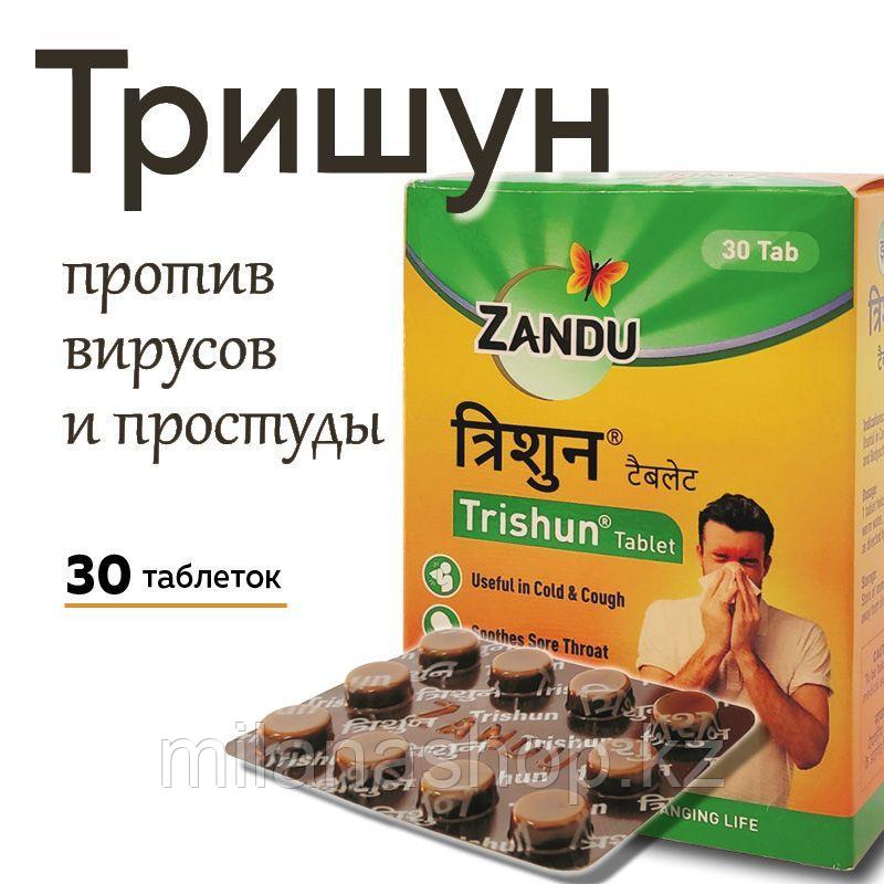 Тришун (Trishun ZANDU) от простуды и гриппа 30 таб. - фото 1 - id-p115240104
