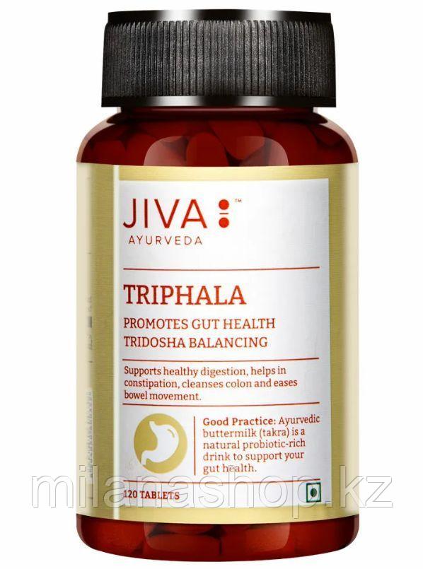 Трифала ( Triphala Jiva ) от шлаков, паразитов, токсинов, омоложение, укрепление здоровья, снятие тошноты 120