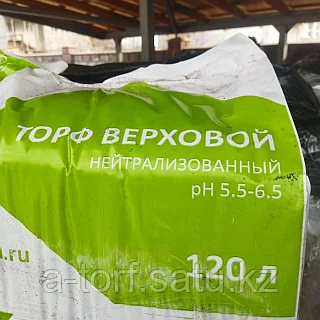 Топтарға Саратовтағы жезөкшелер