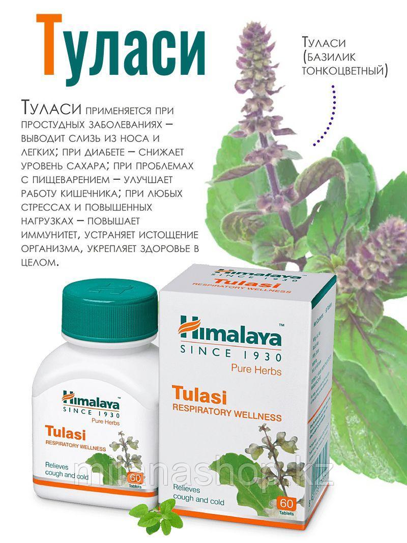 Туласи Хималая ( Tulas Himalaya) от кашля и простуды  60 таб