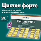 Цистон Форте ( Cystone Forte ) для здоровья женской мочеполовой системы 60 таб
