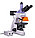 Микроскоп люминесцентный цифровой MAGUS Lum D400L, фото 4