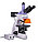 Микроскоп люминесцентный цифровой MAGUS Lum D400L LCD, фото 3