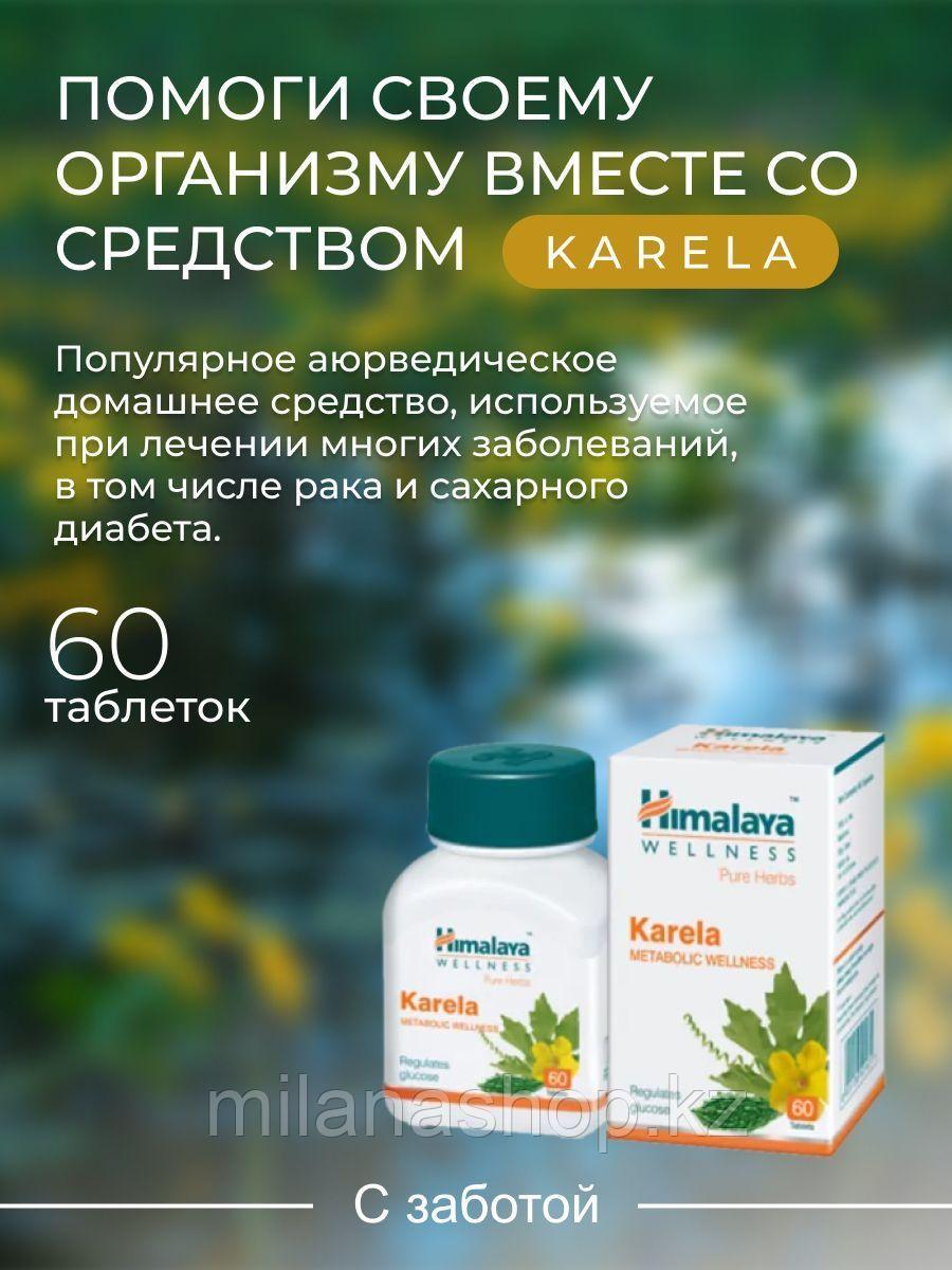 Карела Хималая ( Karela Himalaya ) препарат для лечения диабета 60 таб, фото 1