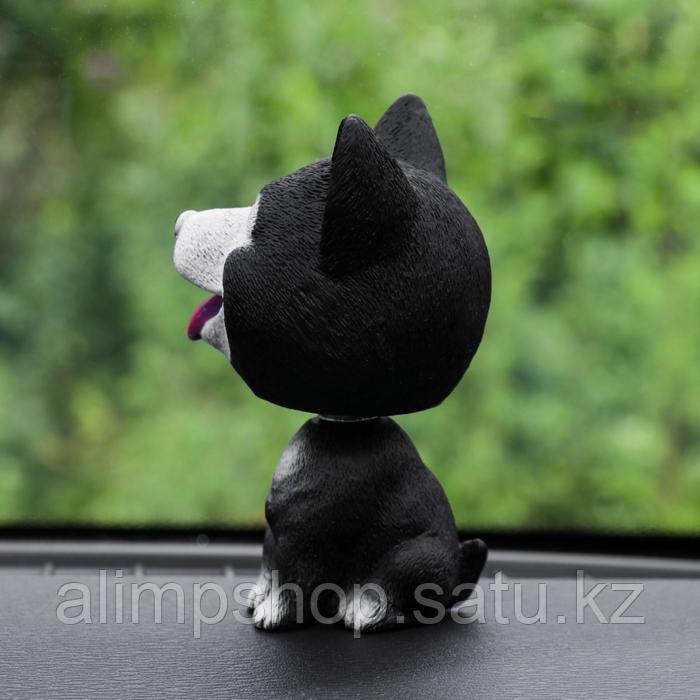 Собака на панель авто, качающая головой, хаски, черный - фото 2 - id-p115270132