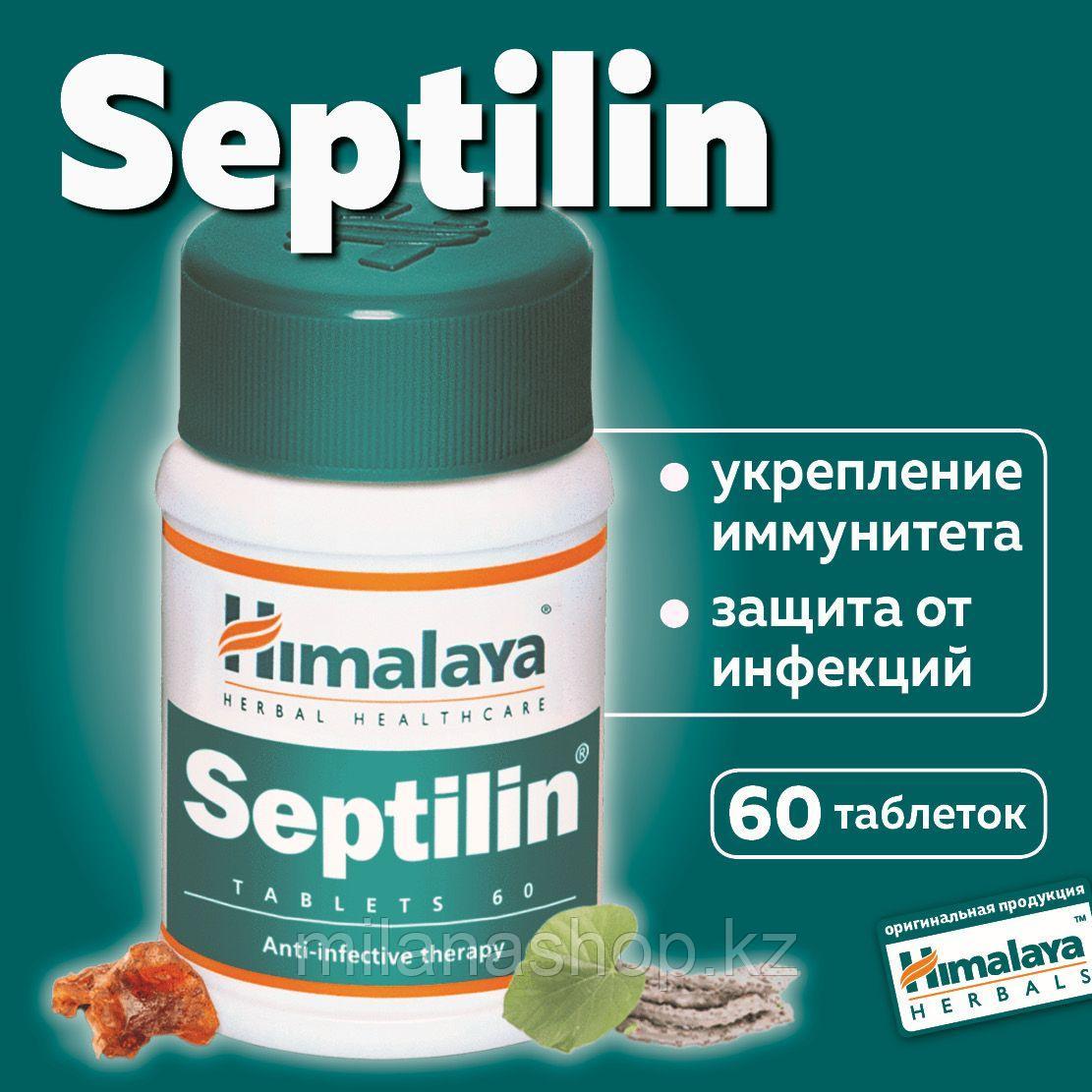 Септилин Хималая ( Septilin Himalaya ) природный антибиотик 60 таб - фото 1 - id-p115271866