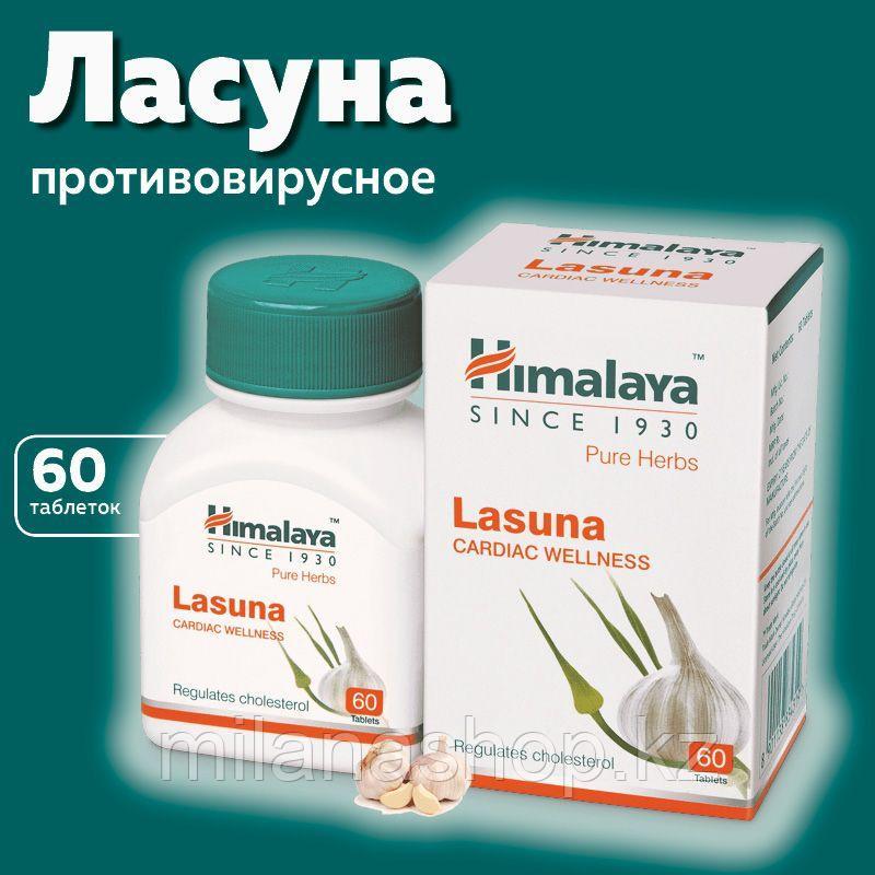 Ласуна Хималая ( Lasuna Himalaya ) контроль холестерина 60 таб