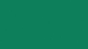 Спортивные напольные покрытия OMNISPORTS ACTION 65 - FIELD GREEN