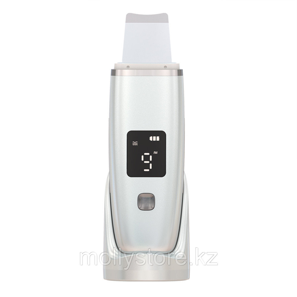 Аппарат для ультразвуковой чистки лица sonik Skin C1 скрабер - фото 1 - id-p115277437