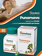 Пунарнава Хималая ( Punarnava Himalaya ) нормализует уровень сахара и кровяное давление 60 таб