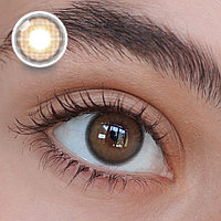 Линзы цветные Maxcon Enovate Brown