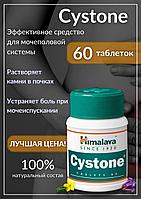 Цистон Хималая ( Cystone Himalaya ) лечение цистита и других хронических инфекций 60 табл