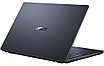 Ноутбук ASUS L2502C L2502CYA-BQ0012 (90NX0501-M005J0), фото 3