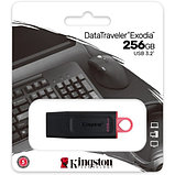 USB-накопитель Kingston DTX/256GB 256GB Чёрный, фото 3