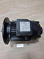 Ecoflam қыздырғышының электр қозғалтқышы (Simel 1/80R-1100)