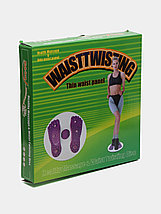 Диск здоровья, фото 2