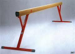 Бревно гимнастическое регул. высота 5м, фото 2