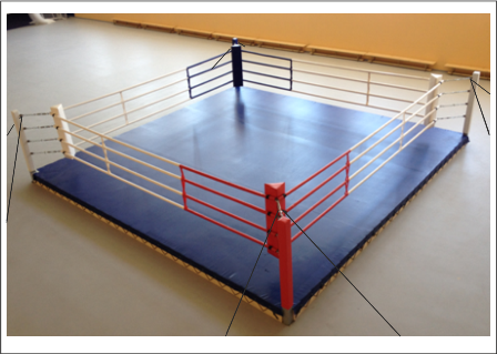 Ринг боксерский на растяжках 7м х 7м (боевая зона 6м х 6м) - фото 1 - id-p115302067