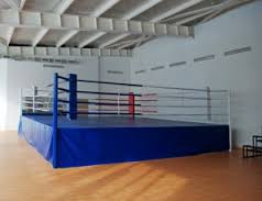 Ринг боксерский с помостом 5,1 х 5,1 высота 1 м (боевая зона 4м х 4м) - фото 1 - id-p115303769