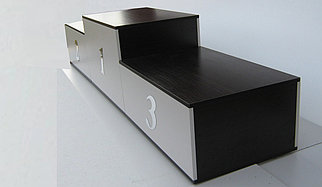 Награды (кубок и медаль)