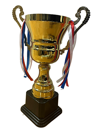 Кубок 42см, фото 2