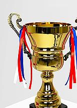 Кубок 42см, фото 4