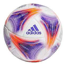 Футбольный мяч Adidas Pelota Argentum 22 Pro