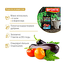Bona Forte Удобрение водорастворимое для Томатов с аминокислотами, 100г, фото 4