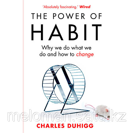 Duhigg C.: The Power of Habit