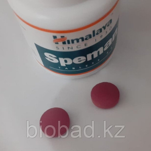 Speman Himalaya ( Спеман Хималая ) 60 капсул ( 514 мг) Herbal Healthcare - фото 2 - id-p115314577