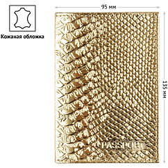 Обложка для паспорта OfficeSpace "Питон", кожа, тиснение, золотой металлик