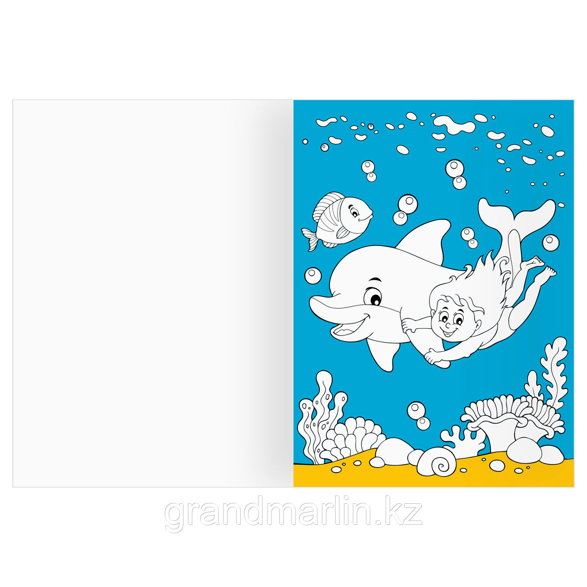 Раскраска А4 ТРИ СОВЫ "Морские животные", 16стр., цветной фон - фото 2 - id-p115317505