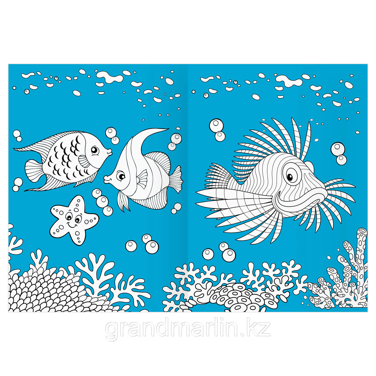 Раскраска А4 ТРИ СОВЫ "Морские животные", 16стр., цветной фон - фото 3 - id-p115317505