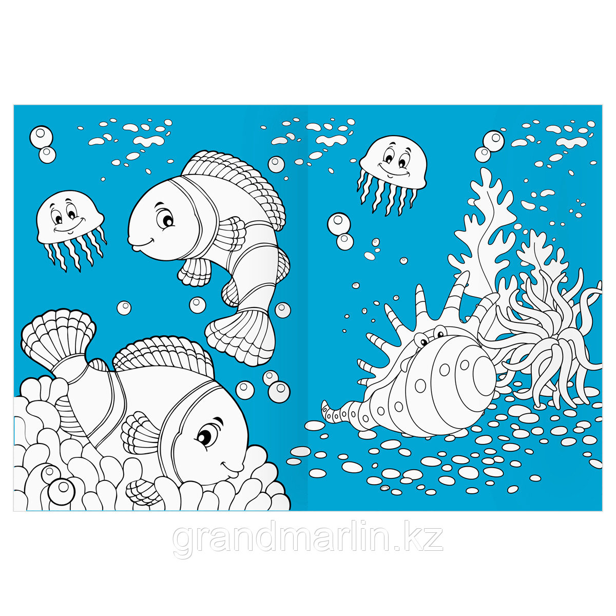 Раскраска А4 ТРИ СОВЫ "Морские животные", 16стр., цветной фон - фото 4 - id-p115317505