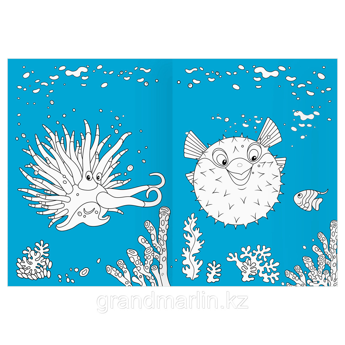 Раскраска А4 ТРИ СОВЫ "Морские животные", 16стр., цветной фон - фото 6 - id-p115317505