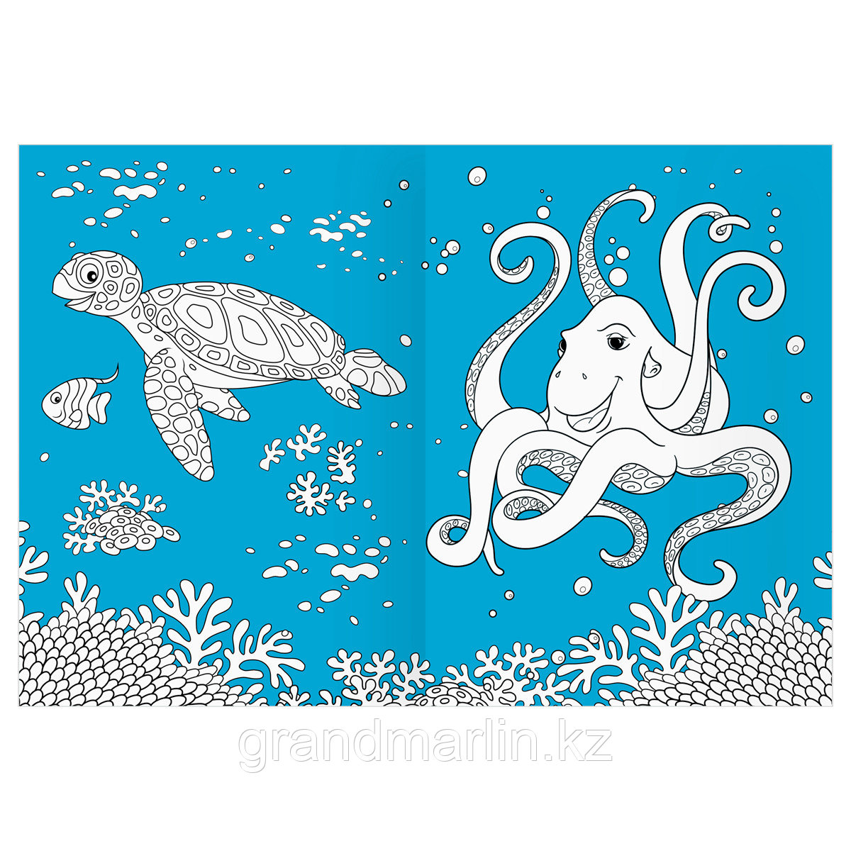 Раскраска А4 ТРИ СОВЫ "Морские животные", 16стр., цветной фон - фото 7 - id-p115317505