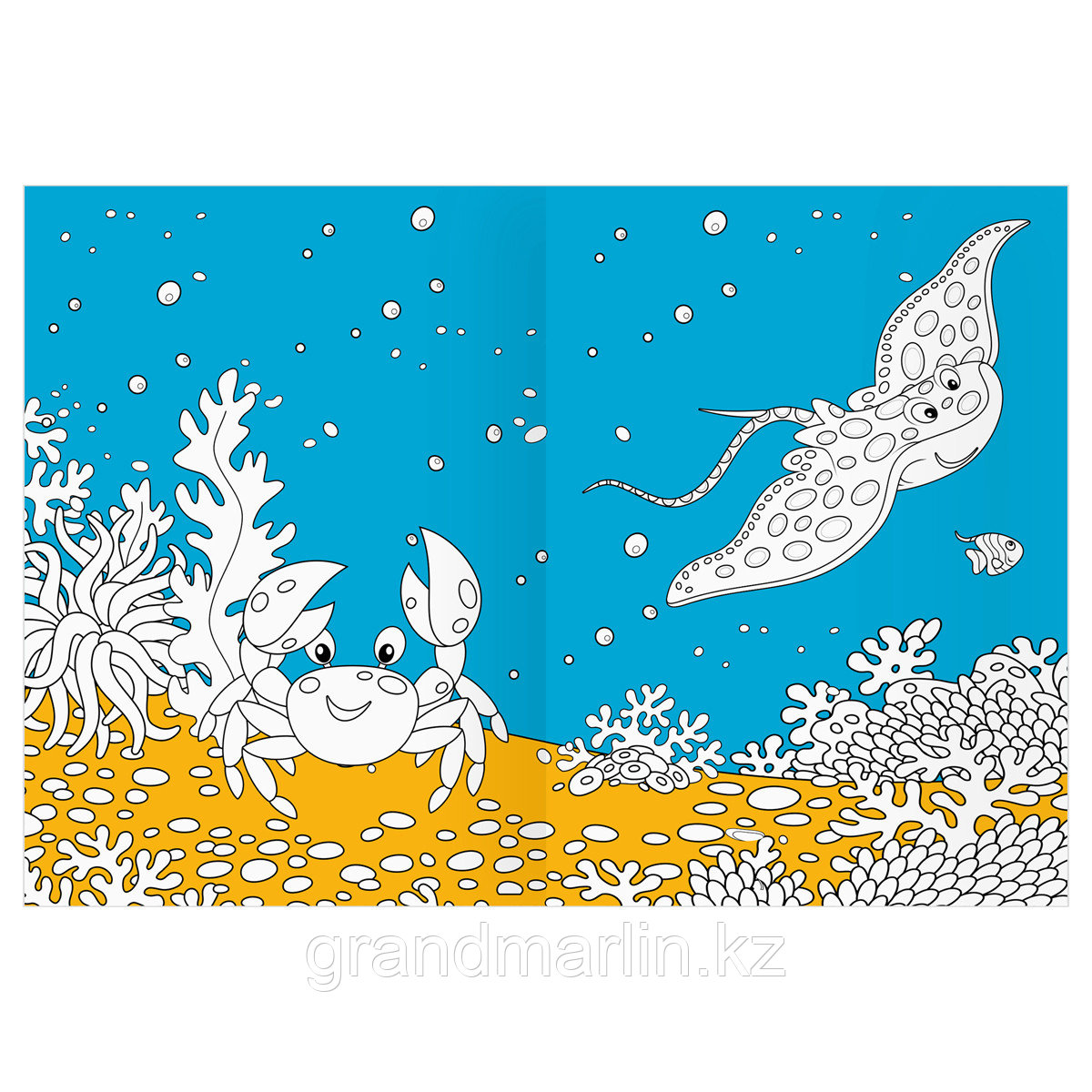 Раскраска А4 ТРИ СОВЫ "Морские животные", 16стр., цветной фон - фото 8 - id-p115317505
