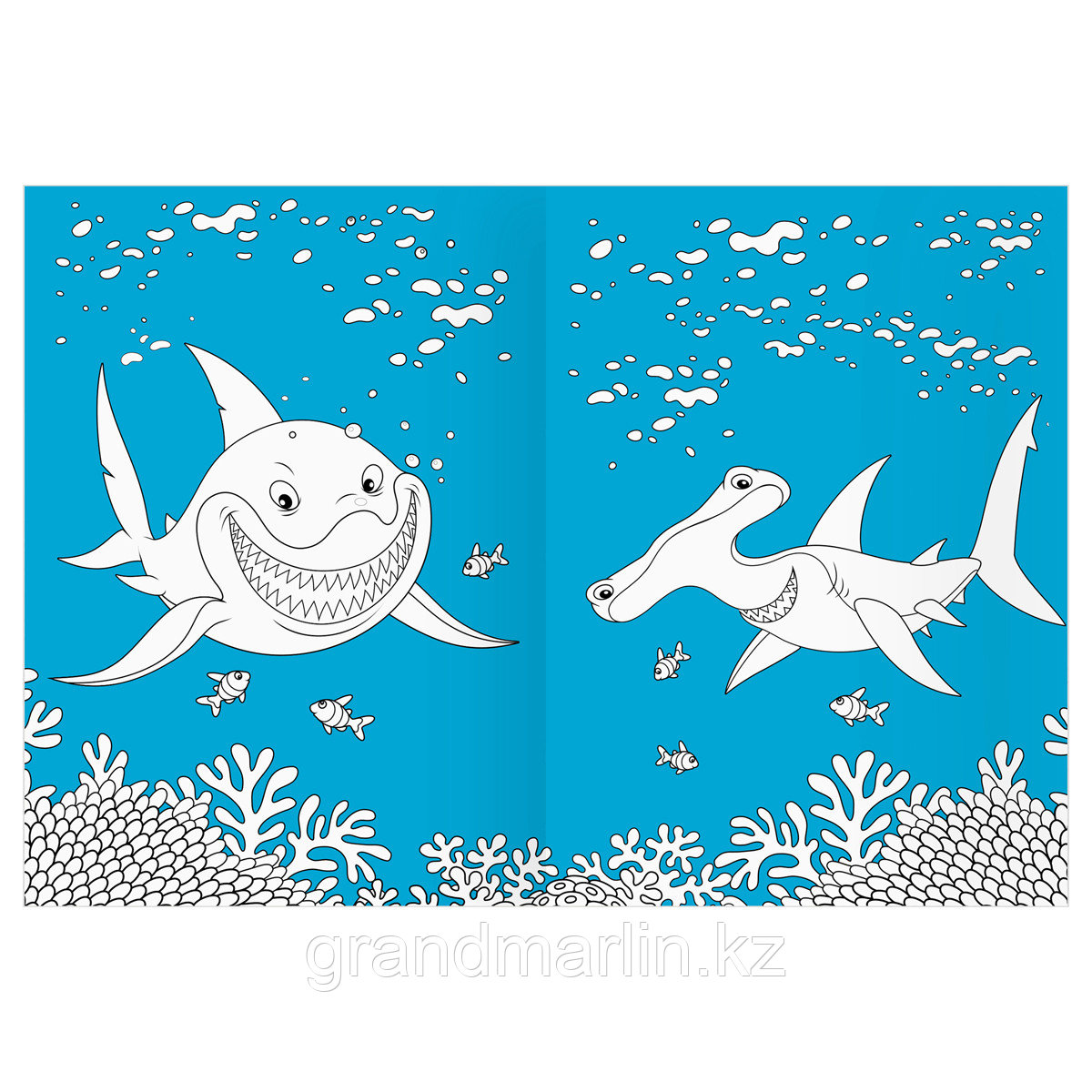 Раскраска А4 ТРИ СОВЫ "Морские животные", 16стр., цветной фон - фото 9 - id-p115317505