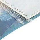 Тетрадь на кольцах 80л., А5, клетка Greenwich Line "Beautiful place", с пластиковой обложкой, фото 8